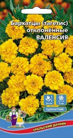 Цветы Бархатцы отклоненные - Валенсия (УД) Новинка!!!
