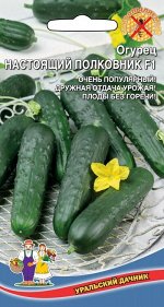Огурец Настоящий полковник F1 (УД) Новинка!!!