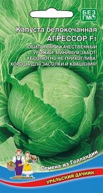 Капуста Агрессор F1 (УД) Новинка!!!