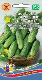 Огурец Огуречный Проспект F1 - корнишон (УД) Новинка!
