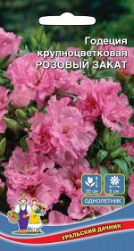 Цветы Годеция Розовый Закат - крупноцв. (УД) (махровая,оранжево-лососевая,неприхотливая,в30см,д5см)