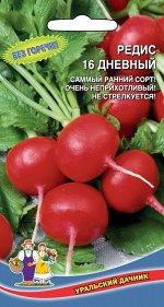 Редис 16 дневный (УД) (самый ранний,округлый,крупный,не стрелкуется)