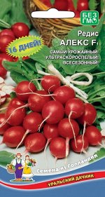Редис Алекс F1 (УД) Новинка!!!