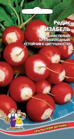 Редис Изабель (УД) Новинка!!!