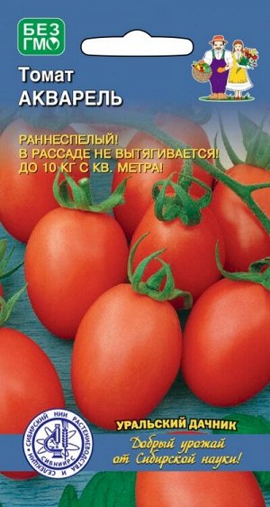Томат Акварель (УД) СЕЛЕКЦИЯ СИБНИИРС Новинка!!!