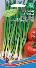 Лук батун Валдайский/Валдай (УД) Новинка!!!