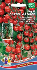 Томат Гартен Фройте (УД) НЕМЕЦКАЯ СЕЛЕКЦИЯ Новинка!!!