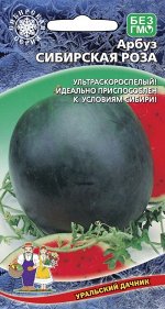 Арбуз Сибирская Роза (УД) (Ультраскороспелый, урожайный, супернеприхотливый, лёжкий)