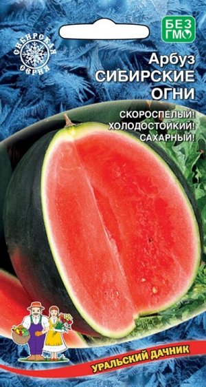 Арбуз Сибирские Огни (УД) (Высокоурожайный, скороспелый, сахарный, устойчив к болезням)