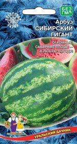 Арбуз Сибирский Гигант (УД) (Великолепный, холодостойкий, стабильно урожайный, лёжкий)