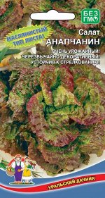 Салат Анапчанин (УД) (среднеспелый,до300гр,полукочанный,сорт ВНИИСОК,красив и на грядке и на столе)