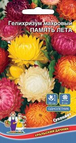 Цветы Гелихризум Смесь Окрасок махровый (Марс) Новинка!!!