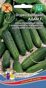 Огурец Адам F1 (УД) (ГОЛЛАНДИЯ) (ранний,партенокарпический,изящные огурчики,до 10 см)