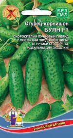 Огурец Буян F1 - корнишон (УД) (самоопыляемый, скороспелый, белошипный, 8-11 см)