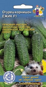 Огурец Ежик F1 - корнишон (УД) Новинка!!!