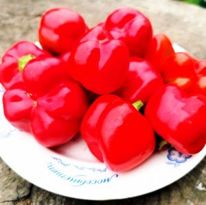 Перец для начинки Мамми Хубер -Mammi Huber’s Stuffing Pepper