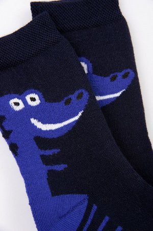 Носки махровые для мальчика Para socks