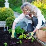Дачный сезон🏡 Товары для сада и огорода