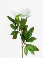 Цветок &quot;Peony Plush&quot; Floox, 14х8х50 см, цв.белый, комбинированные материалы