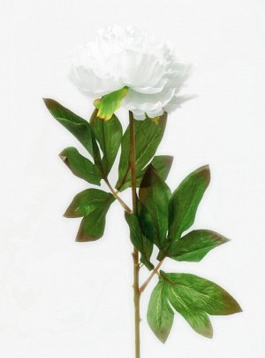 Цветок "Peony Plush" Floox, 14х8х50 см, цв.белый, комбинированные материалы