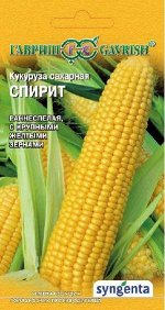 Кукуруза Спирит сахарная 15 шт. (Голландия)