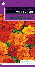 Бархатцы откл. Огненный шар (Тагетес) хамелеон! 5 шт. серия Эксклюзив Н18