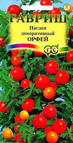 Паслён декоративный Орфей* 12 шт.