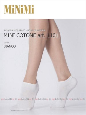 MINIMI, art. 1101 COTONE