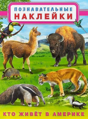 КТО ЖИВЁТ В АМЕРИКЕ