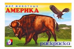 Мир животных Америка раскраска