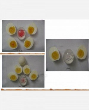 Таймер-индикатор для варки яиц 904756