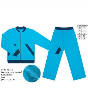 Бирюзовый спортивный джемпер для мальчика Цвет: бирюзовый
