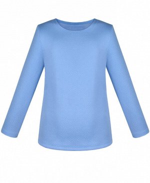 Голубой джемпер (блузка) для девочки Цвет: голубой