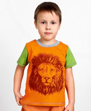 Оранжевая футболка для мальчика Цвет: оранж