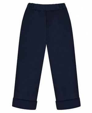 Синие утеплённые брюки для мальчика Цвет: синий