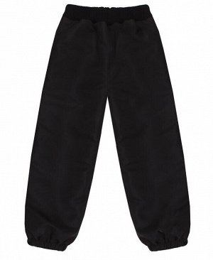 Чёрные утеплённые брюки для мальчика Цвет: черный