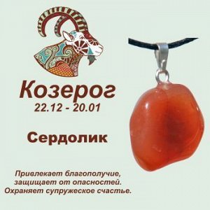 Символ с кулоном "Козерог" - Сердолик, нат. камень