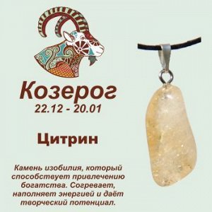 Символ с кулоном "Козерог" - Цитрин, нат. камень