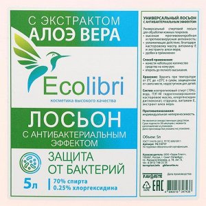 Антисептик для рук Ecolibri с антибактериальным эффектом, лосьон, 5 литров