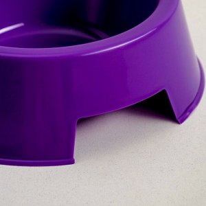Миска пластиковая, фиолетовая, 17 х 17 х 5 см, 400 мл