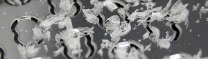 Терка для ног срезающая липсовая (для пяток)