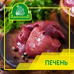 Печень ЦБ. Курица.