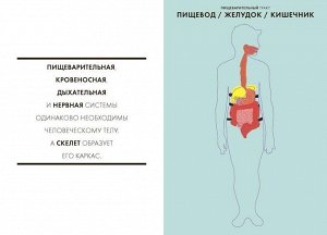 Анатомия Иллюстрированный атлас по анатомии. В доступной, наглядной и увлекательной форме он рассказывает об устройстве человеческого тела и работе всех систем организма. Иллюстрации в книге выполнены