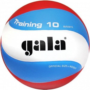 Мяч волейбольный GALA Training 10