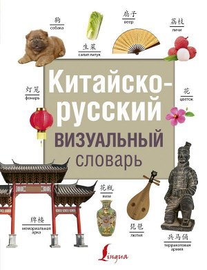. Китайско-русский визуальный словарь
