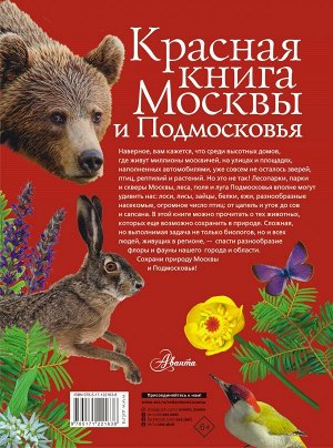 Молюков М.И. Красная книга Москвы и Подмосковья