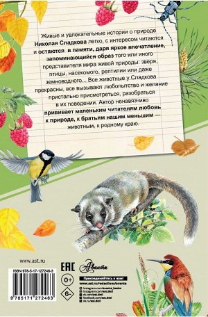 Сладков Н.И. Лесные тайнички