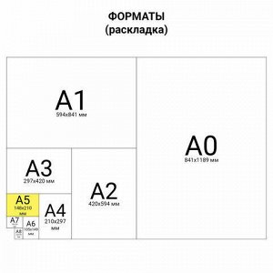 Блокнот А5 (145х205 мм), 80 л., гребень, обложка пластик, клетка, HATBER, "DIAMOND NEON", оранжевый, 80Б5B1гр_02035