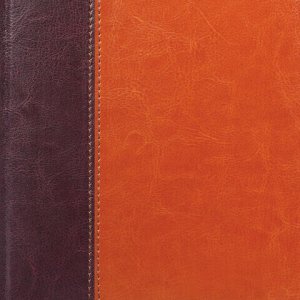 Ежедневник недатированный А5 (148х218 мм) GALANT "Kassel", 160 л., комбинированная кожа, коричневый/светло-коричневый, 126273