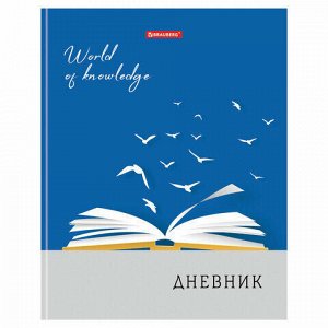 Дневник 5-11 класс 48 л., твердый, BRAUBERG, глянцевая ламинация, с подсказом, "Сила в знании", 105585